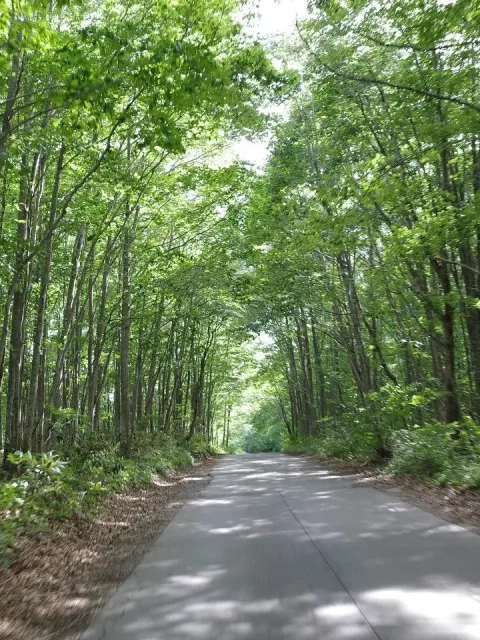2022 road